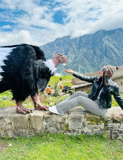 a703a2aa18390a4a57a42bad745b9d76